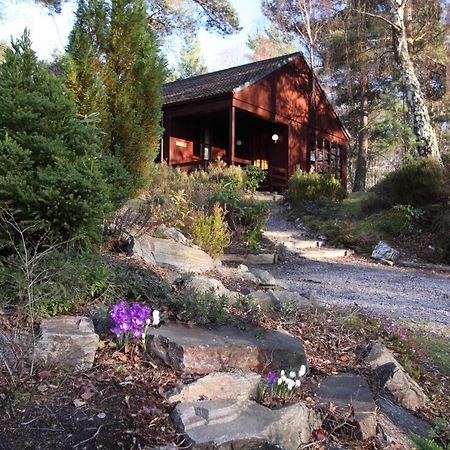 Tullochwood Lodges فورس المظهر الخارجي الصورة