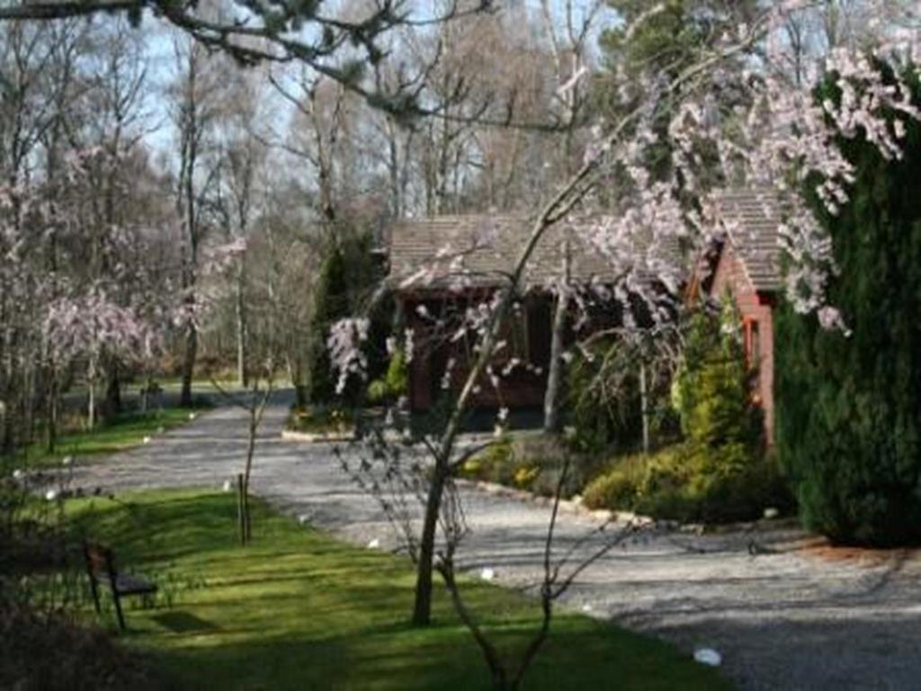 Tullochwood Lodges فورس الغرفة الصورة