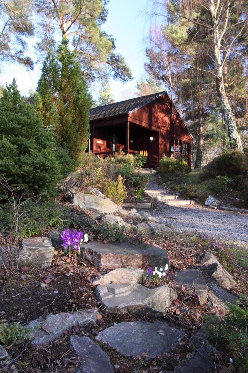 Tullochwood Lodges فورس المظهر الخارجي الصورة